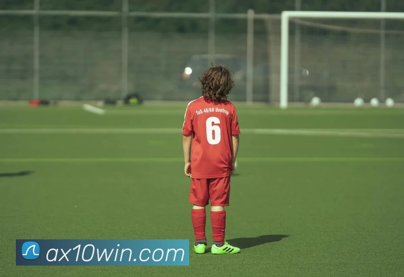 安信10官网发展历程